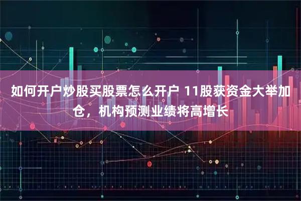 如何开户炒股买股票怎么开户 11股获资金大举加仓,机构预测业绩将高增长